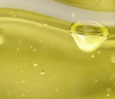 ������ʱ- �������ǲ�!